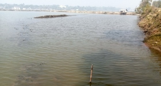 বুধহাটায় মৎস্য ঘেরের বাঁধ ভাঙ্গা ও মাছ লুটের অভিযোগ
