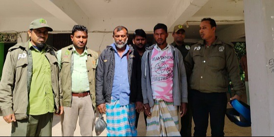 হাতিয়ায় সংরক্ষিত  বনের গাছকাটার অপরাধে দুই জন আটক