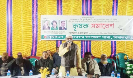 চিরিরবন্দরে বিএনপির উদ্যোগে কৃষক সমাবেশ