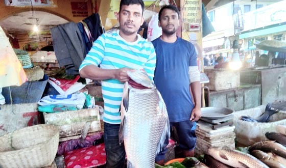 শ্রীমঙ্গলে ‘মাছের মেলা’