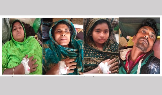 নারীসহ চারজনে পিটিয়ে আহত