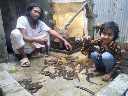 রাণীনগরে বালতিতে জোঁক চাষ