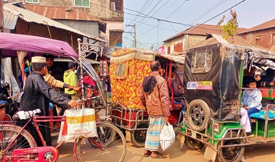 কাউখালীতে বেপরোয়া অটোরিকশা, জনগণ ভোগান্তির শিকার