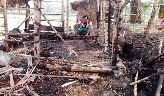 কয়রায় গোয়ালঘরে আগুন, মরলো গরু ও ছাগল