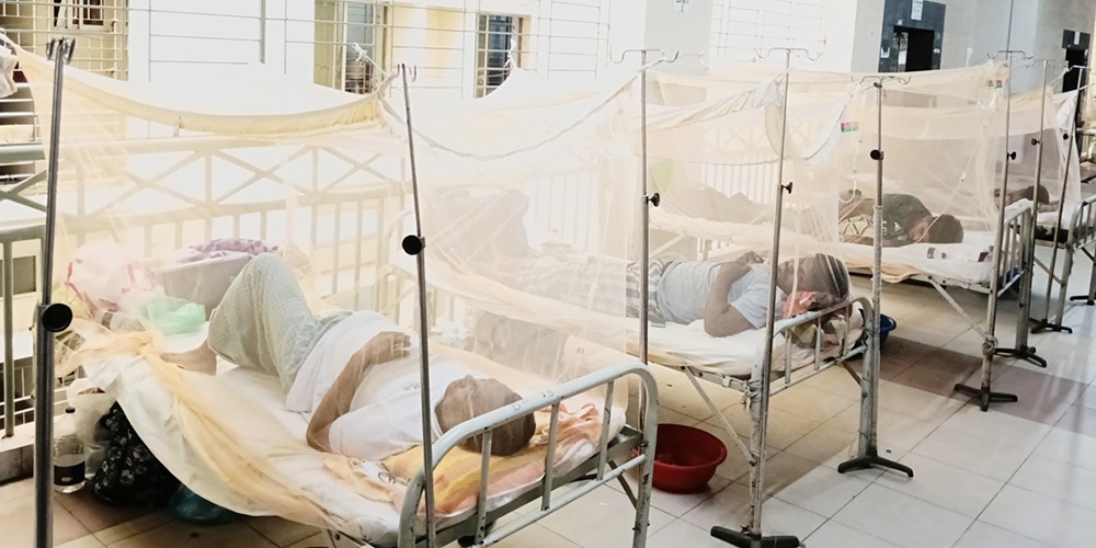 ডেঙ্গুতে আক্রান্ত হয়ে হাসপাতালে ৪১৬ জনের ভর্তি