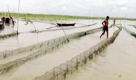 মান্দায় নিষিদ্ধ জালে দেশিয় প্রজাতির পোনামাছ নিধন