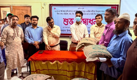 কচুয়ায় কৃষি প্রণোদনা বিতরণ কার্যক্রমের উদ্বোধন