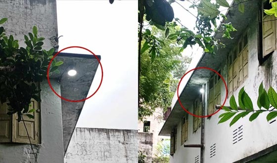 সরকারি ছুটিতে শৈলকুপা পানি উন্নয়ন বোর্ড অফিসে দিনের বেলায় জ্বলছে বৈদ্যুতিক বাল্ব