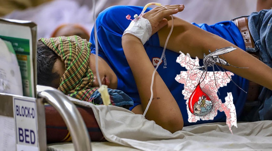 ডেঙ্গুতে ২৪ ঘন্টায় ঝরলো ৩ প্রাণ, নতুন শনাক্ত ৪৯২