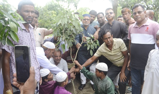 কাহারোলে কৃষক দলের বৃক্ষরোপন