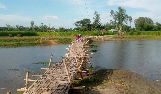 সুন্দরগঞ্জে চরবাসির সাঁকো বিড়ম্বনা