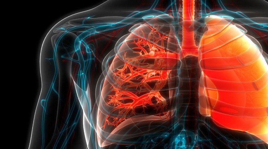 জেনে নিন ফুসফুস পরিষ্কার রাখার ১১ উপায়