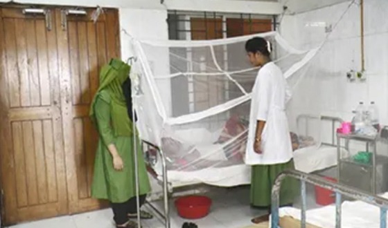 মাদারীপুরে চোখ রাঙাচ্ছে ডেঙ্গু, বাড়ছে আতঙ্ক