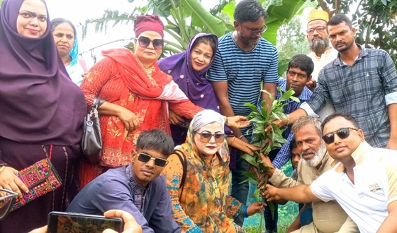 পরিবেশের ভারসাম্য রক্ষায় টাঙ্গাইলে বিভিন্ন স্কুল-কলেজে গাছের চারা বিতরণ