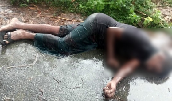 বিরলে চালককে হত্যা করে ভ্যান ছিনতাই