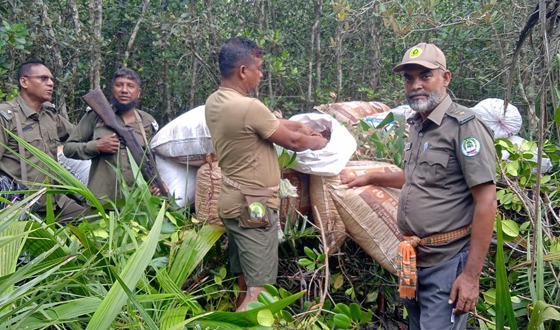 সুন্দরবনে বন কর্মীদের অভিযান, ১৮ বস্তা শুটকি চিংড়ি জব্দ