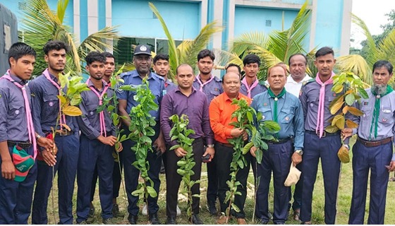 ৭৭ হাজার ফলদ, বনজ, ওষুধি গাছের চারা রোপণ ও বিতরণ উদ্বোধন
