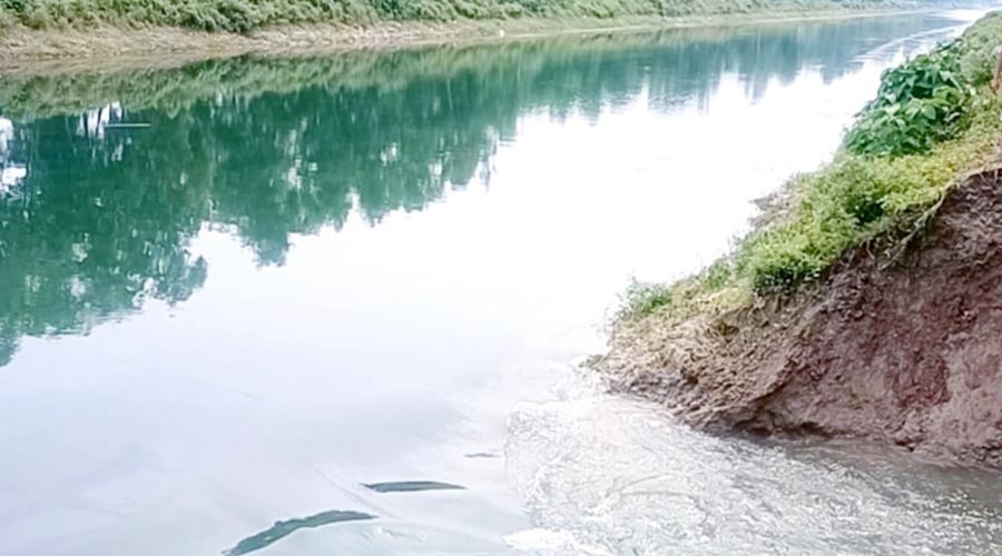 নীলফামারীতে ক্যানেলের পার ভাঙ্গা পানিতে ডুবে গেছে ফসলি জমি