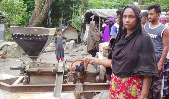 চিতলমারীতে ধান ভাঙা মেশিনে জড়িয়ে বিধবার মৃত্যু