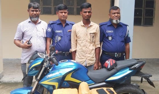 রংপুরে ২৩ কেজি গাঁজাসহ একজন মাদক কারবারি আটক