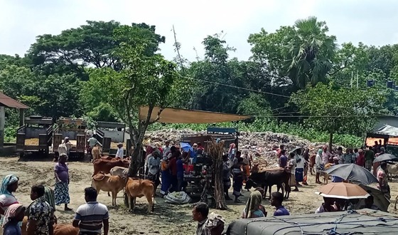 মুন্ডুমালা পশুহাটে ময়লার ভাগাড়ের কারনে মুখ ফিরিয়ে নিচ্ছেন ক্রেতা বিক্রেতারা