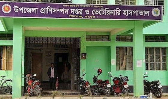 পীরগঞ্জ উপজেলা প্রাণিসম্পদ বিভাগে জনভোগান্তী চরমে