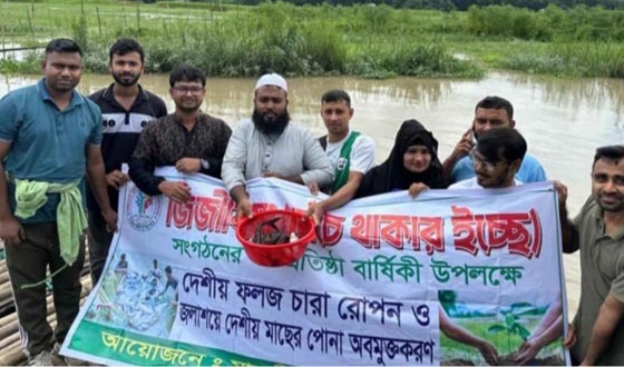 মাদারীপুরের খাল-বিলে নিজ উদ্যোগে মাছের পোনা ছাড়লেন যুবক