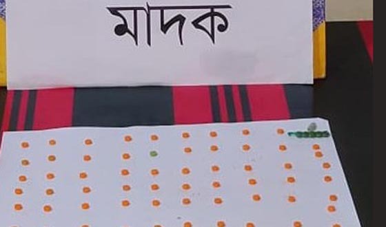 দক্ষিণ মতলব উপজেলা হতে মাদক দ্রব্য উদ্ধার