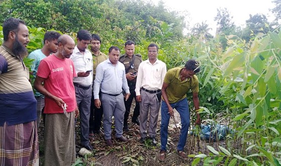 ফুলবাড়ীতে নিষিদ্ধ ঘোষিত ইউক্যালিপটাস গাছের চারা ধ্বংস