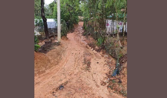 হরিণতোয়ার একমাত্র রাস্তার বেহাল দশা