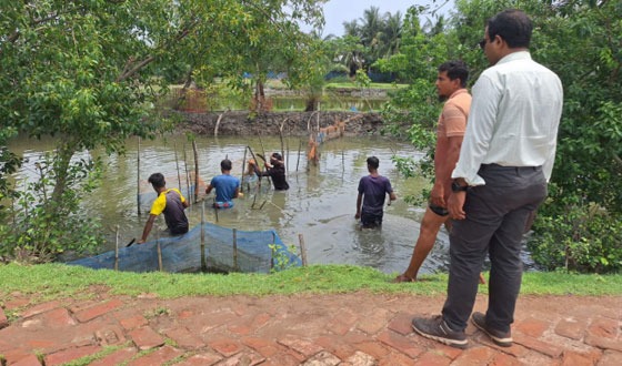আশাশুনি মৎস্য দপ্তরের অভিযানে অবৈধ নেটপাটা ও বাঁধ অপসারণ