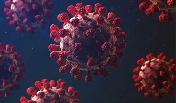 চব্বিশ ঘণ্টায় চারজনের মধ্যে তিনজনের করোনা শনাক্ত