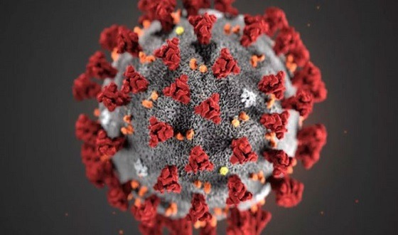 বেনাপোল স্থলবন্দরে সতর্কতা জারি