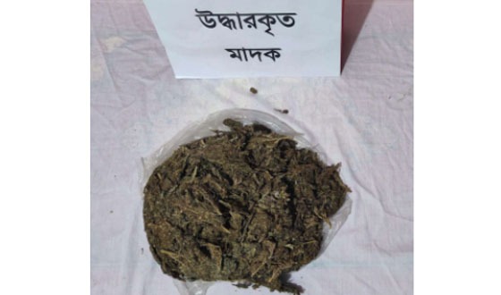 হাজীগঞ্জে গাঁজাসহ মাদক ব্যবসায়ী আটক