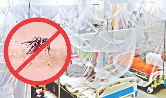 ডেঙ্গুতে একজনের মৃত্যু, হাসপাতালে ৩৫২
