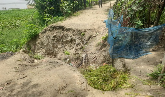 গজারিয়া বাউশিয়া কয়েকটি রাস্তা বৃষ্টিতে ভেঙে জনগণের চরম দুর্ভোগ