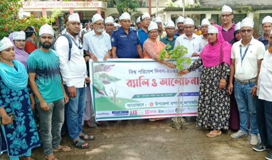 আশাশুনি ধান ও সবজি বীজ এবং গাছের চারা বিতরণ