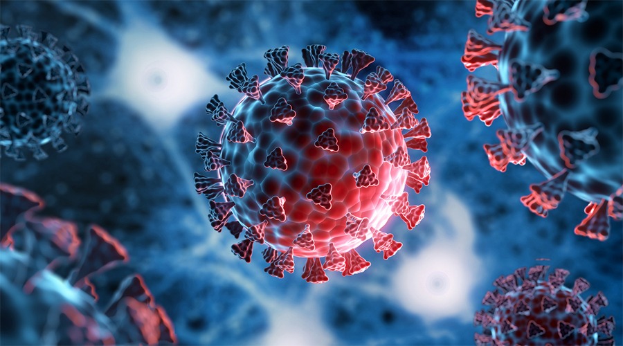 করোনায় ২৪ ঘন্টায় এক মৃত্যু, নতুন শনাক্ত ১০