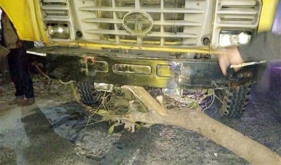 গভীর রাতে সড়কে গাছ ফেলে ৪০ গাড়িতে ডাকাতি