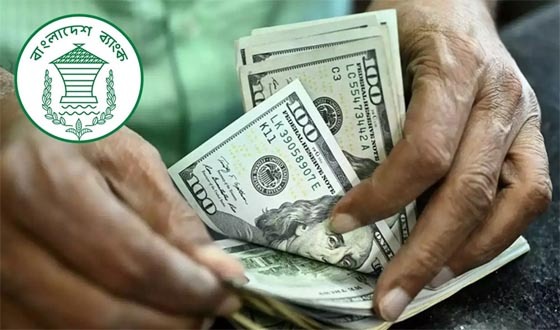 সাত মাসে রেমিট্যান্সে শীর্ষ ১০ দেশ