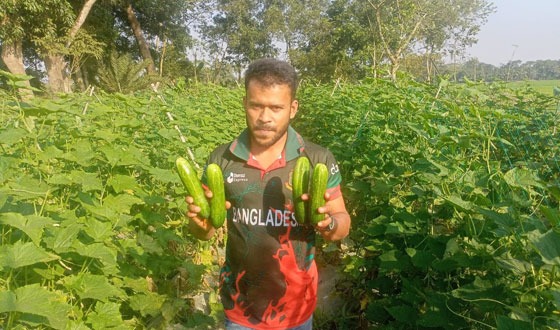 চাকরির পেছনে না ছুটে কৃষিতে সফল রেদুয়ান