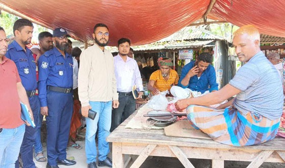 ভূঞাপুরে অসুস্থ গরু জবাই করায় মাংস ব্যবসায়ীর জরিমানা