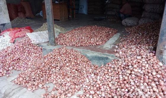 এক সপ্তাহের ব্যবধানে পেঁয়াজের দাম কমেছে কেজিতে ১৫ থেকে ১৬ টাকা