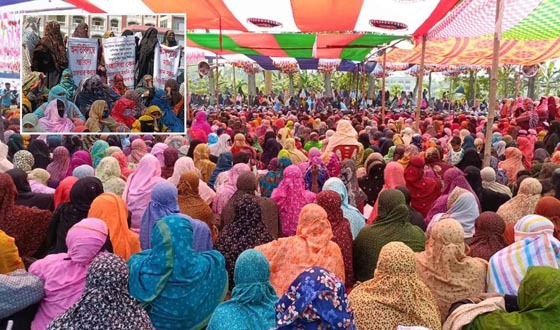 মহেশপুরে জামায়াতের নারী নেত্রীদের ওপর হামলার প্রতিবাদে সমাবেশ