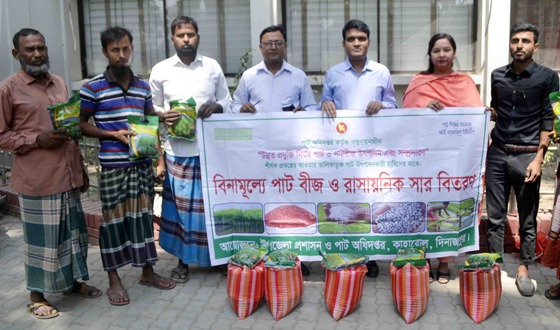 কাহারোলে পাট চাষীদের পাট বীজ ও সার বিতরণ