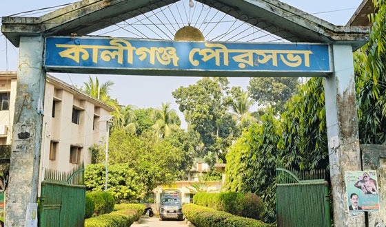 মশার কামড়ে অতিষ্ঠ কালীগঞ্জ পৌরবাসী