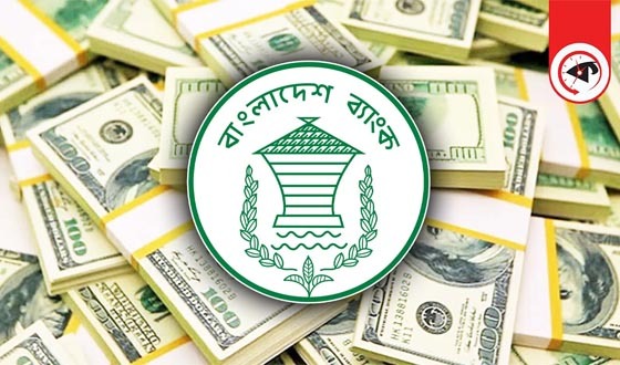 প্রবাসী আয়ে রেকর্ড: ঈদের আগেই ৩ বিলিয়ন ডলারের মাইলফলক