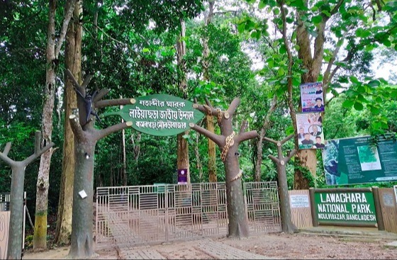 ঈদের ছুটিতে ঘুরে আসুন সৌন্দর্য্যরে লীলাভূমি কমলগঞ্জ