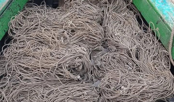 পূর্ব সুন্দরবনে হরিণ ধরার এক কেজি জালের বিনিময়ে মিলবে দুই হাজার টাকা