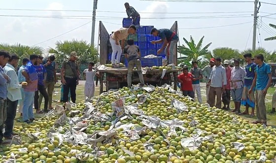 সাতক্ষীরায় অপরিপক্ক এক ট্রাক আম ধ্বংস করেছে জেলা প্রশাসন